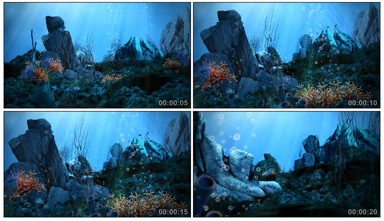 海底石头珊瑚水草鱼群气泡视频素材