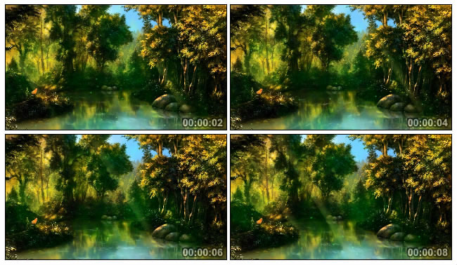 唯美森林河流风景视频素材