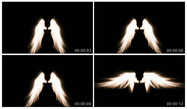 发光的天使翅膀视频素材