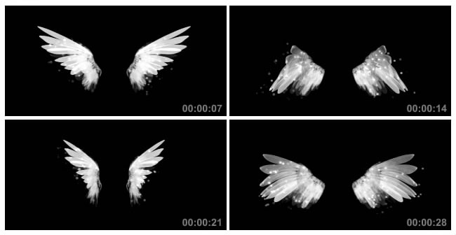 白色大羽毛天使翅膀视频素材