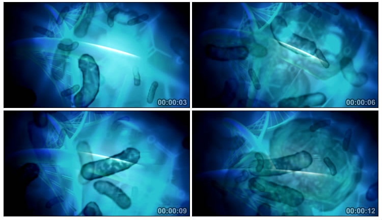 显微镜下的细菌微生物视频素材