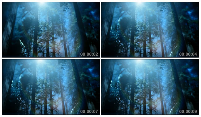 森林阳光Led视频素材
