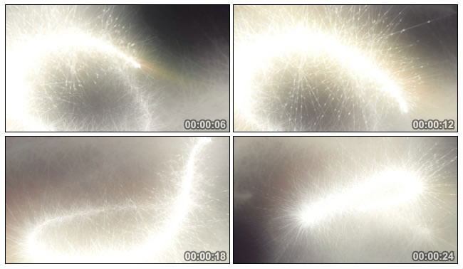 白炫光铁水花粒子Led视频素材