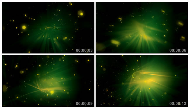 星空绿色炫光粒子光圈视频素材