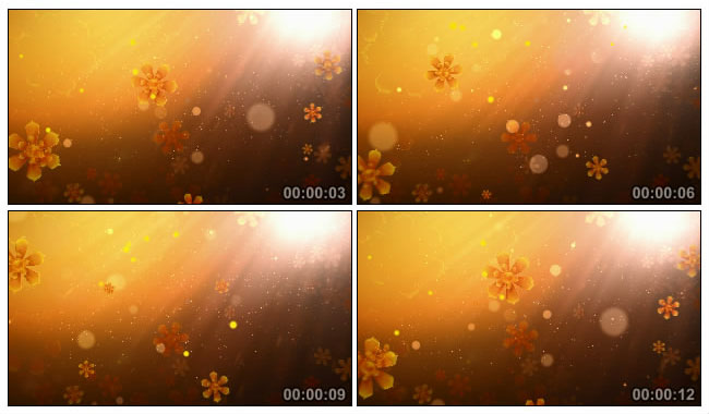 金色阳光炫光粒子光斑花瓣飘落视频素材