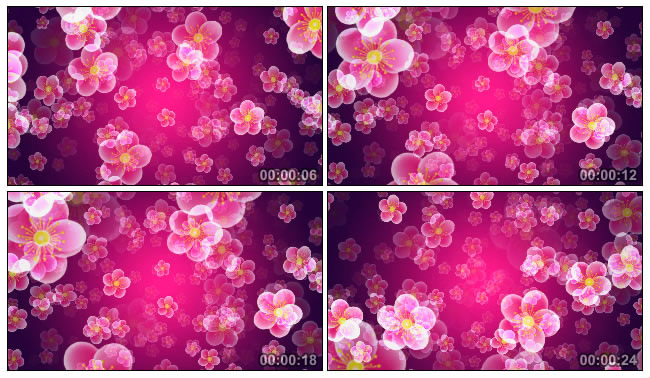 桃花花瓣背景视频素材