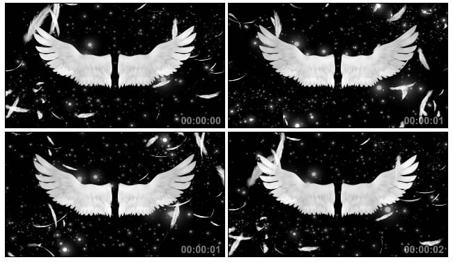 天使的翅膀视频素材