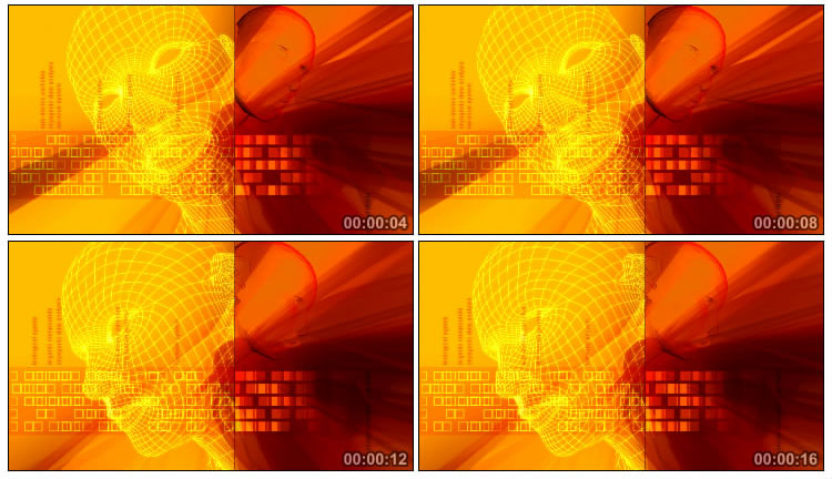 人脸面部3D网状模型图视频素材